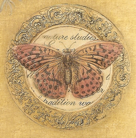Vintage Butterfly Art 45