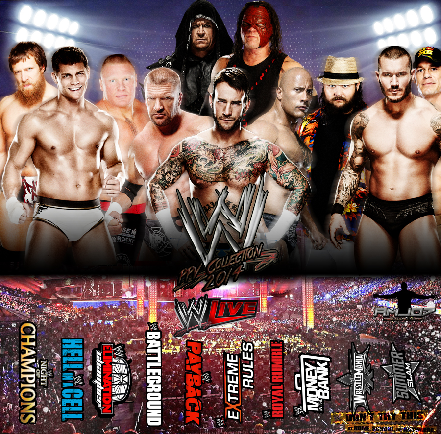 Image result for ppv 2014