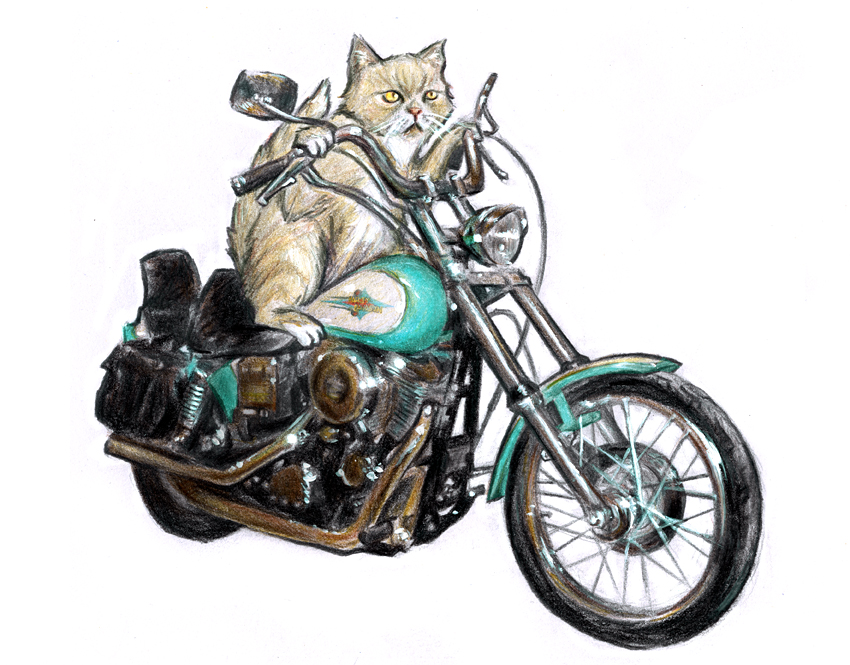 motorcycle_cat_by_linalightning.jpg