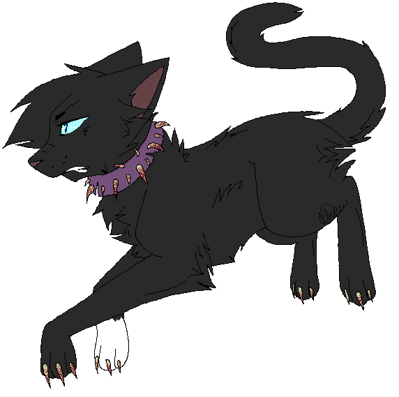 warrior cats coloring pages scourge x - photo #29