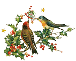 Christmas-Birds- by vafiehya