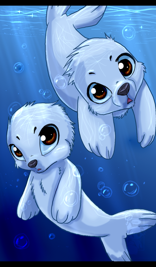 Seal pups by Ash-Dragon-wolf