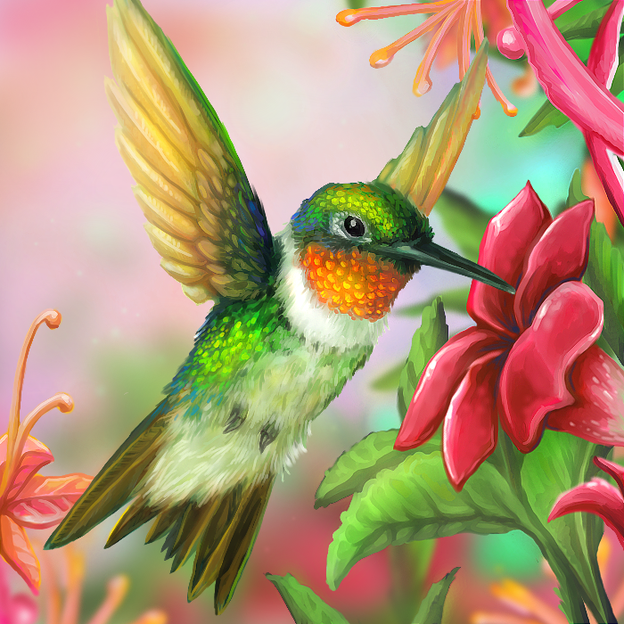 Layer Paint Ruby Throated Hummingbird by charfade on DeviantArt