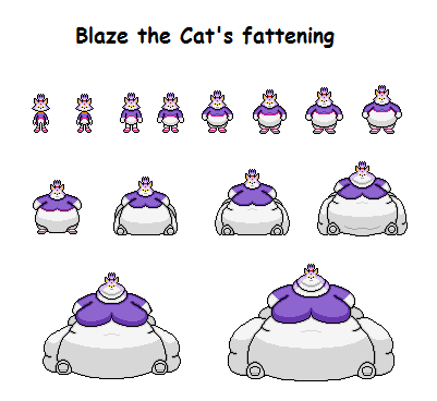 Blaze the Cat's fattening by Effra-Bulbizarre on DeviantArt