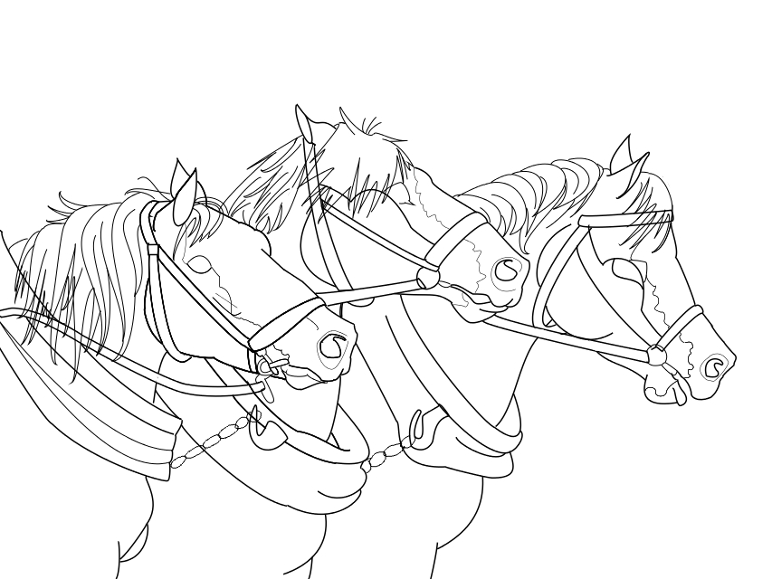 Download Clydesdale Drawing At Getdrawings Free Download Sketch ...