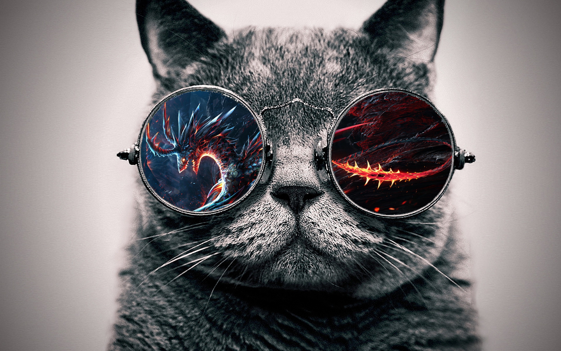 Cool Cat: Dragon by ToValhalla on DeviantArt