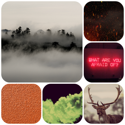 tigerlily_moodboard_by_kaybird98-db3sp7o.png