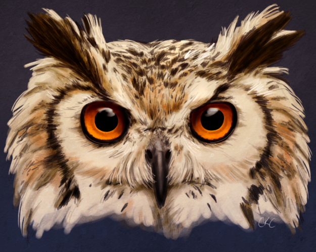 Hasil gambar untuk owl painting