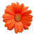 Flower icon.39