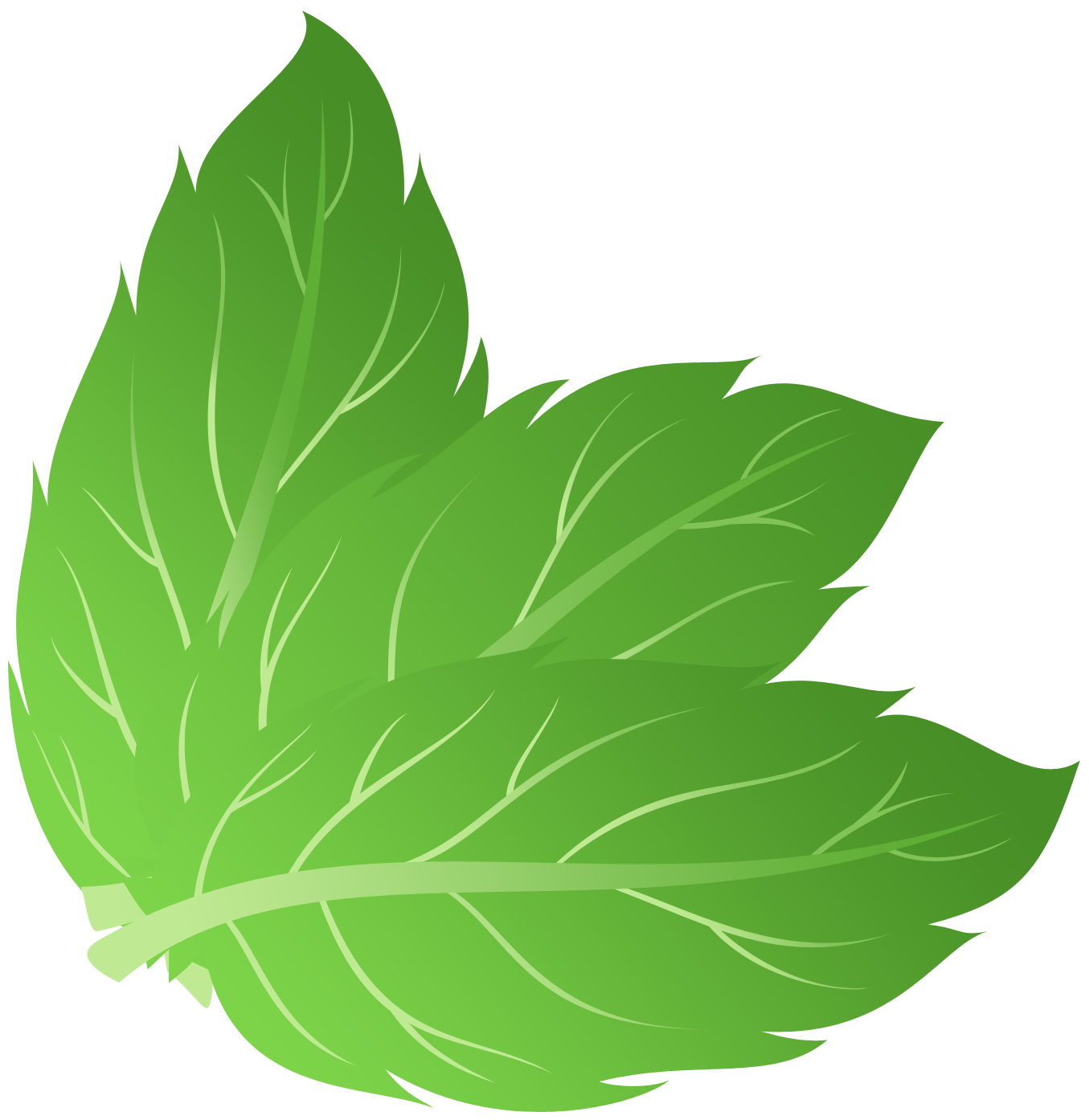 free mint leaves clipart - photo #42