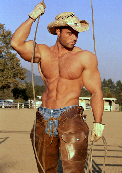 muscle cowboy jeans