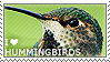 I love Hummingbirds by WishmasterAlchemist