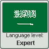Saudi Arabic language level EXPERT by TheFlagandAnthemGuy