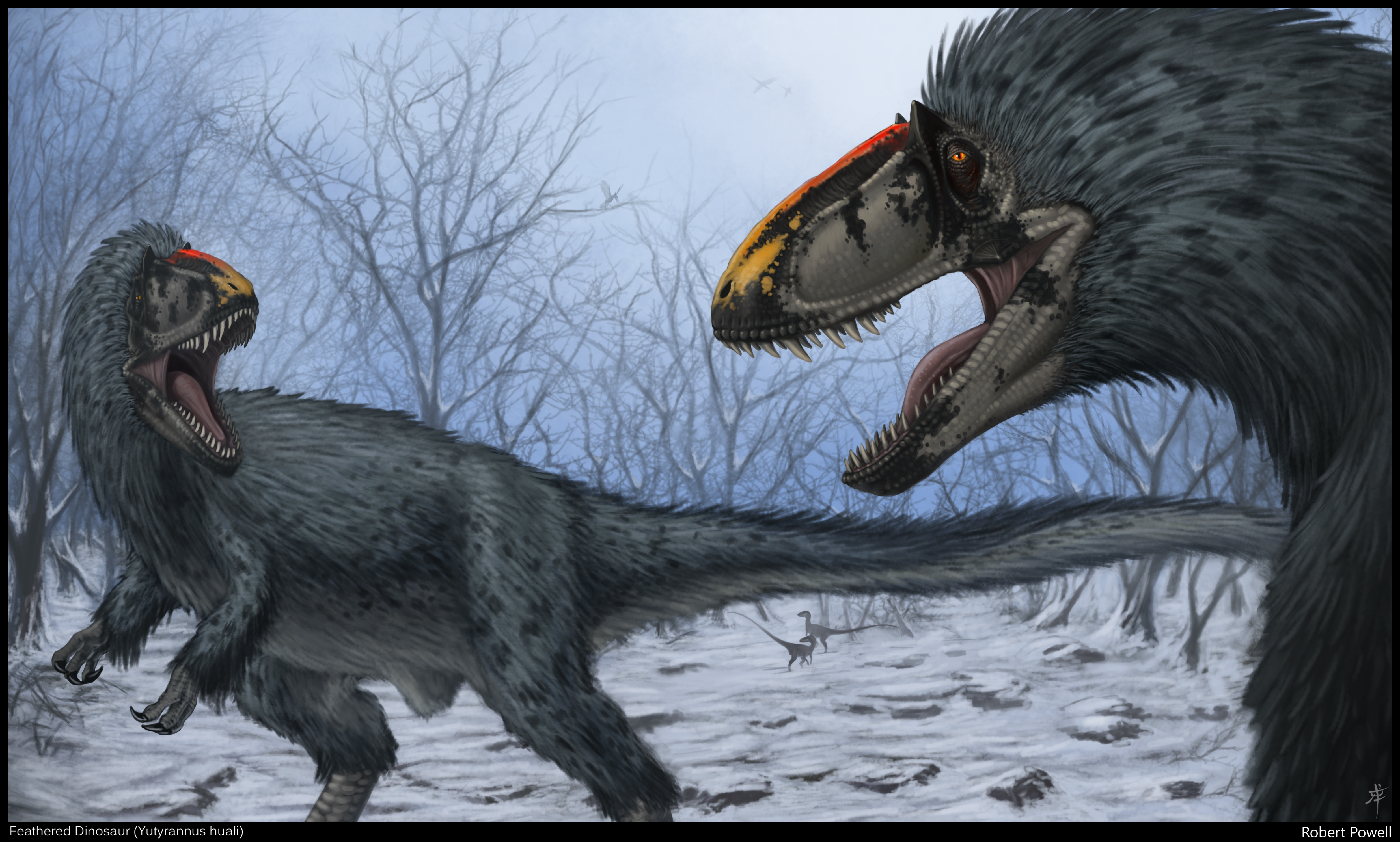 Carnotaurus vs Yutyrannus - Dinosaurs Forum